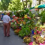 Rosa 3*