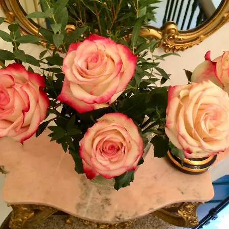 Rosa 3*