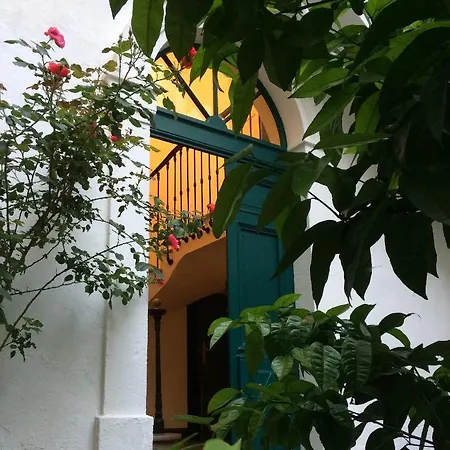 Bed & Breakfast Rosa *