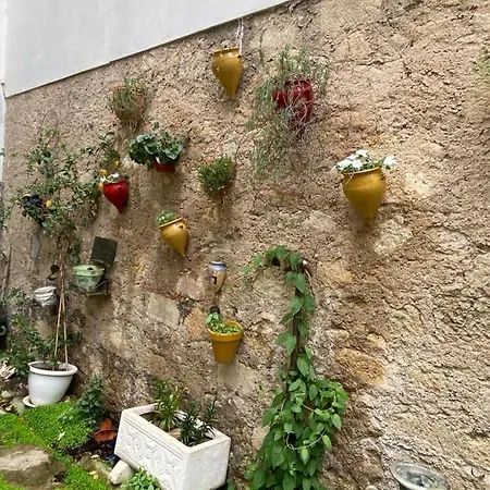 Bed & Breakfast Rosa 3*