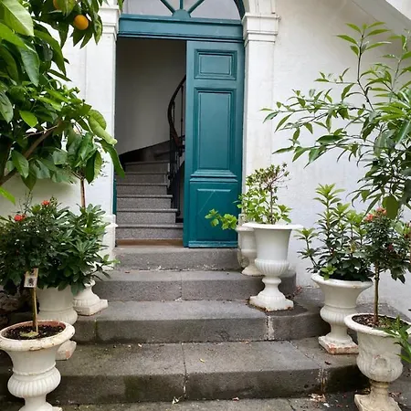 Rosa Bed & Breakfast *